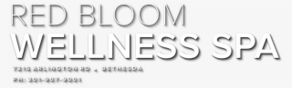 Red Bloom Wellness Spa Brandstamp - Spa #6084924