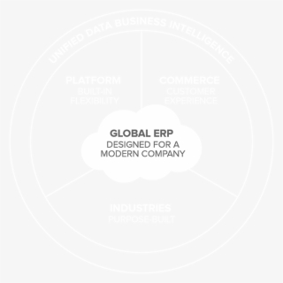 Netsuite Is - Worx #6085784