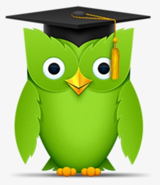 Duolingo Italian #6088372