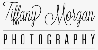 Calligraphy #6089318