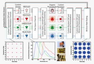 We Are Particularly Interested In Wavelength Division - Essay #6091626