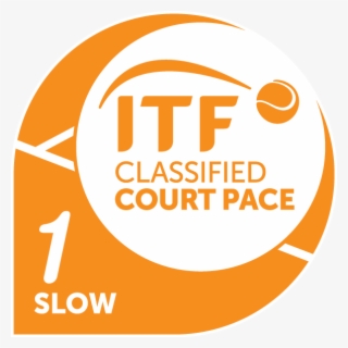 Steve Mccarthy California Products Corporation P - Itf Court Pace 3 #6095517