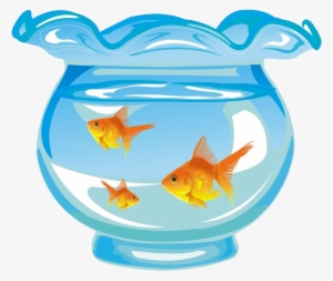 Goldfish Aquarium Fishkeeping - 鱼缸 里 的 鱼 #610320