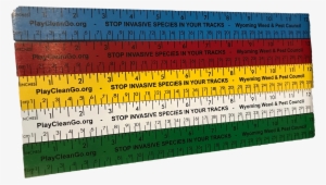 $22 - - Ruler #610346