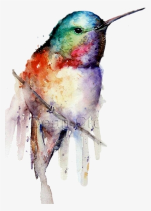 Pintura De En Oleo Colibri #610904