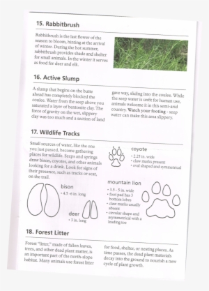 Picture1-768x1069 - Audi #610999