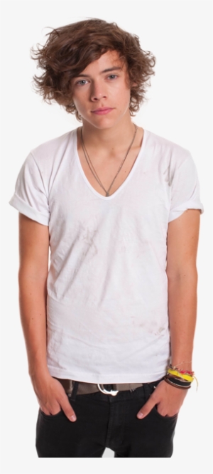 Niall Horan - Harry Styles: Photo-biography #612177