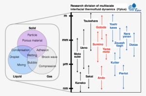 According To The Activities Of The Previous Division, - Diagram #612330