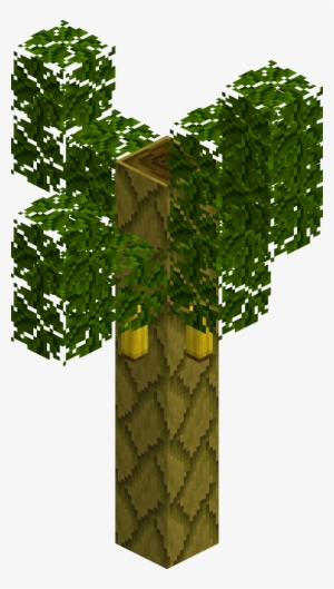 Bananatree - Wiki #612697