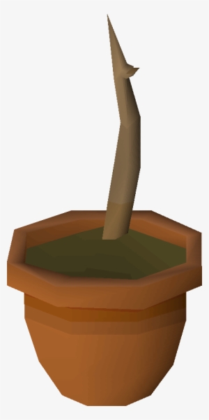 Banana Saplings Are Obtained By Planting A Banana Tree - Old School Runescape #613093