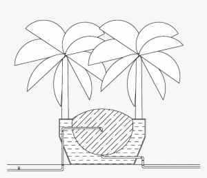 Section Banana Tree - Monochrome #613097