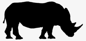 Remote Sensing And Gis For Ecologists - Remote Sensing #613286