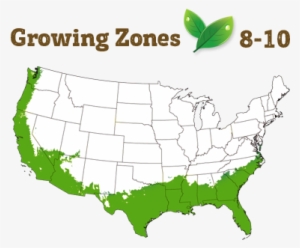 Shipping Restriction - Salem Massachusetts On A Map #613287