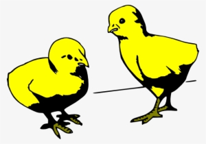 Cartoon Baby Chicks Gif #613379