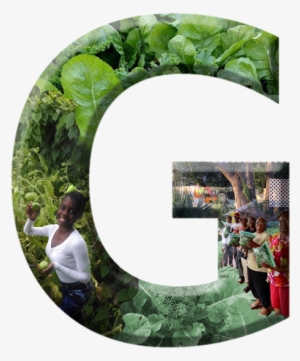 Crooms Academy Museum 1215 Historic Goldsboro Blvd - Botanical Garden #613975