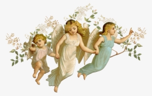 Angels - Angels Transparent #613976