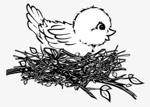 Baby, Drawing, Bird, Art, Chick, Nest - Bird In Nest Clip Art #614022