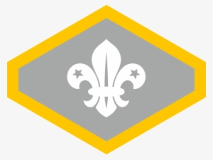Published 1st July 2018 At 400 × 301 In - Cubs Chief Scout Award #615283