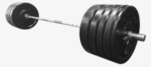 Barbell Bumper Plates #615333