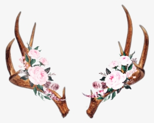 Horns Sticker Challenge On #615702