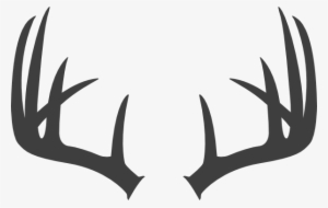Clip Art Transparent Download Antlers Dark Grey Clip - Letter O With Antlers #615808