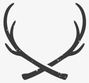 Vector Download Png Free Download On Mbtskoudsalg Paper - Antler Png #616011