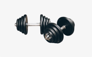 Barbell Transparent Png #616468 Barbell Transparent Png #616468
