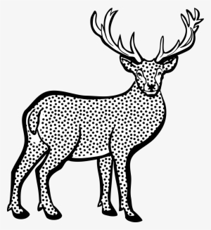 White Tailed Red Clip Art Transprent Png - Line Art Of Deer #616488
