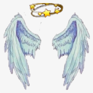 Wings Overlay #616607