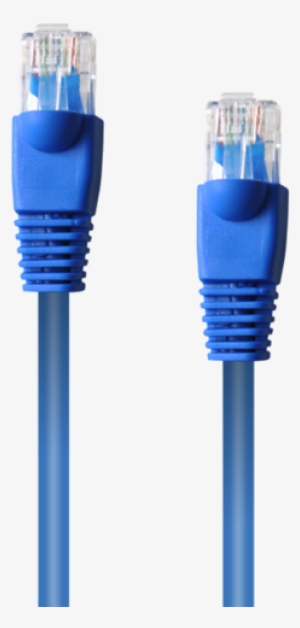 Ethernet Network Cables - Networking Cables #617255