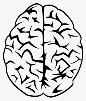 This Free Icons Png Design Of Brain Vector Free #617739