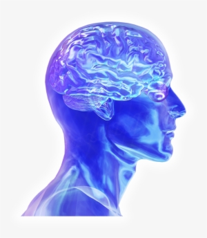 Colorado Neurological Institute - Brain Power Png #617801