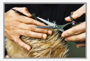 Our Men's Design Cut Is A Cut All Your Own That You - Hair Salon #617953 Our Men's Design Cut Is A Cut All Your Own That You - Hair Salon #617953