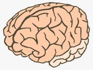 Knowledge Clipart Knowledge Brain - Workings Of An Idle Mind: A Collection Of Short Stories #618078