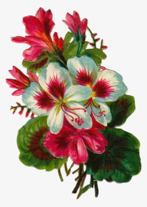 I - Bon Week End #619267