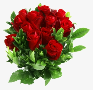 Beautiful Rose Flowers Png #619412