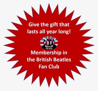 Numerology: A Beginner's Guide [book] #6100248