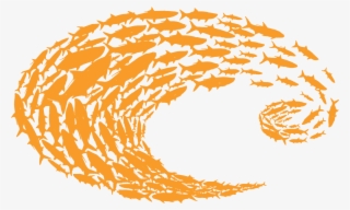 Costa Orange Logo Schoolin Decal - Costa Del Mar Logo #6101003