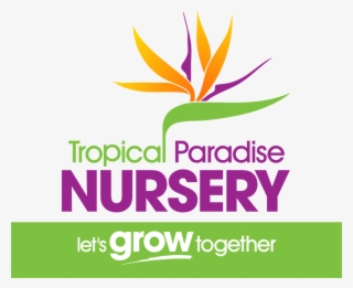 Tropical Paradise Nursery - Nursery Plant Logo Png #6101971