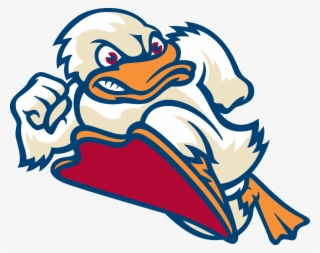 Stevens Ducks Mascot, Attila, Color #6103622