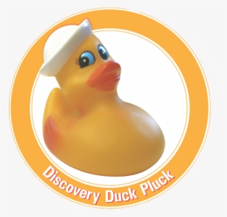 The All-american Discovery Duck Pluck To Happen On #6103960