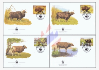 Worldwide Natural Reserve #6107440