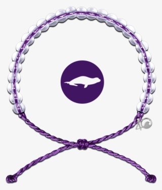 Hawaiian Monk Seal Bracelet - 4ocean Bracelet #6107952