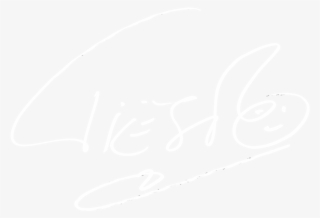 Tiesto Signature - Bird #6109345