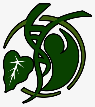 Bruins Logo Outline - Health #6116536