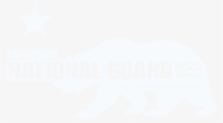 Website Designed & Built By 100% Pure Racing #6116843