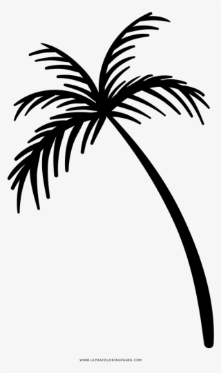 Coqueiro Icon Png #6120296