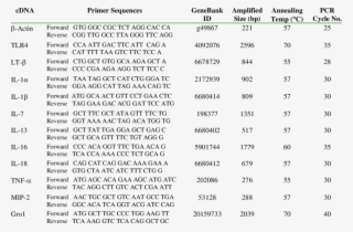 Cdna Primer Sequences And Pcr Conditions - Document #6130038