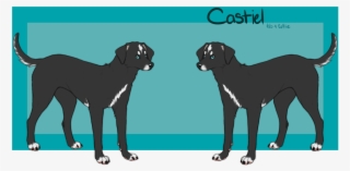 Dog Catches Something #6130698