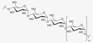 Many Researchers Are Coming Up With Ways To Break Down - Polysaccharide Structure #6131472